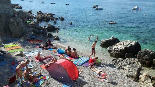 Hostal Guest House Zimmer Novi