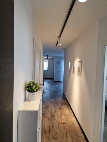 Apartamento Vila Vita