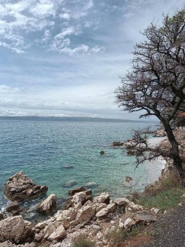 Apartamento Blue Seagull - Seafront Holiday Home