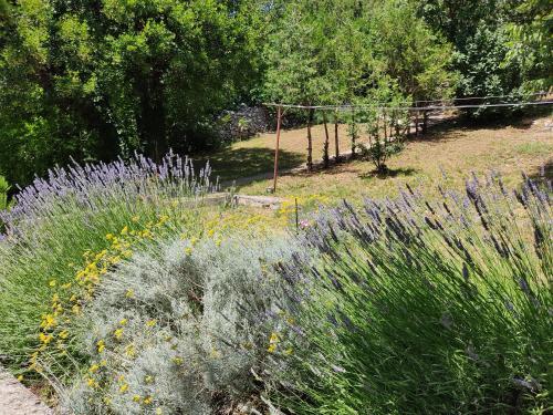 Apartamentos Ferienhaus Povile