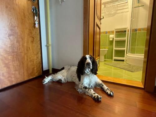 Apartamento Old Lady Opatija