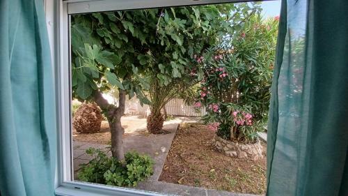 Apartamento Hacienda Umpirski