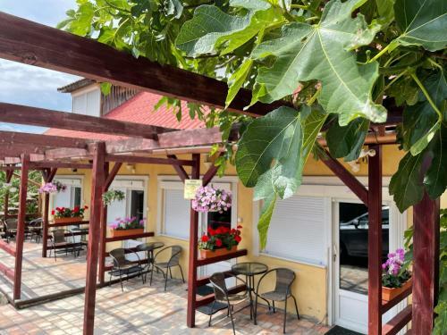 G�bor Mag�nsz�ll�s