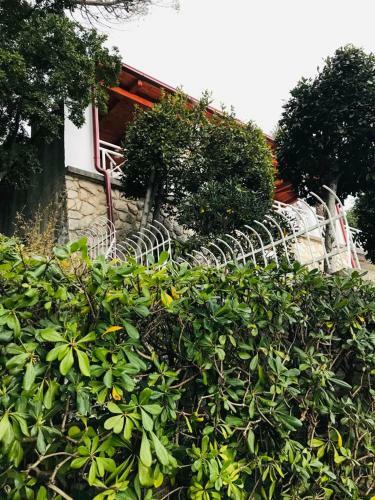 Villa Ljerka, Step To The Sea