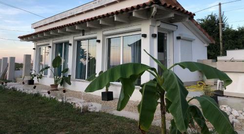 Borbara Apartman
