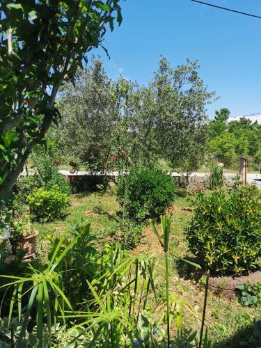 Apartman Mela