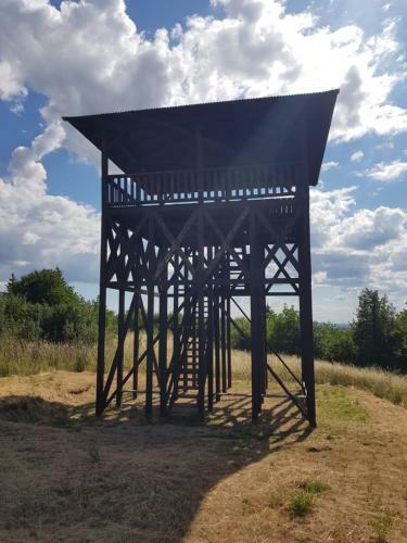 Romantikus Erd?sz�li Fah�z