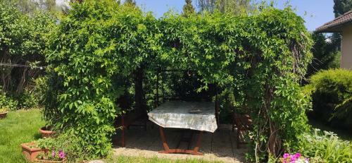 Anna Vend�gh�z