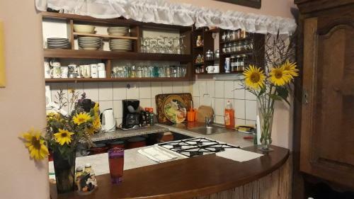 Ladybird Guesthouse Somogyv�r