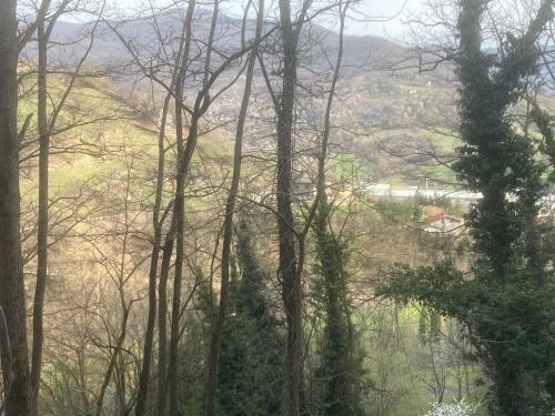 Apartamento Cianica - Lovely Studio Flat (monolocale)
