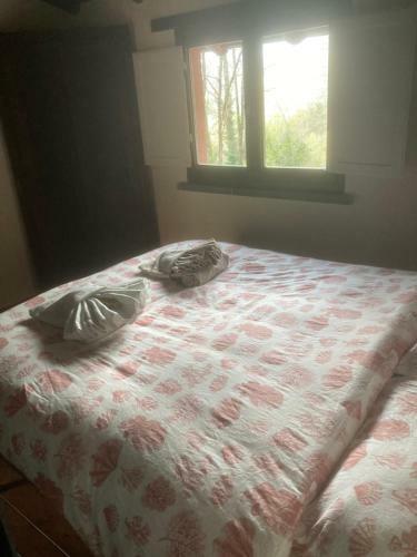 Apartamento Cianica - Lovely Studio Flat (monolocale)