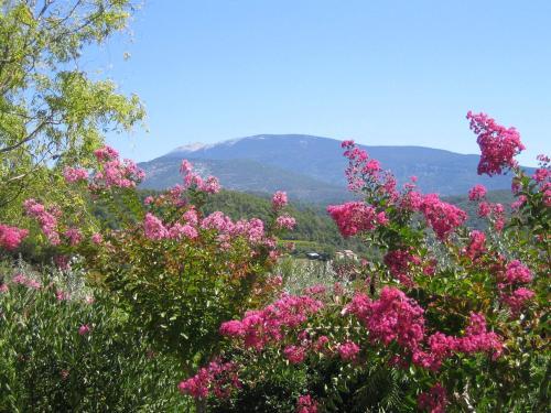 Bed & Breakfast Chanterelle