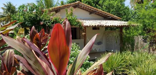 Bed & Breakfast Pousada Villages