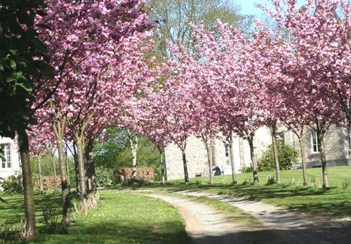 Bed & Breakfast Au Ch�teau