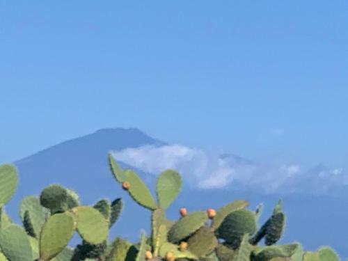 Hotel Sbarcatore Dei Turchi
