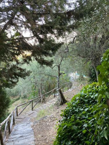 Villa Podere Par Di Rota