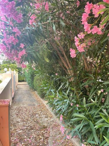 Apartamento Appartamento La Guglia