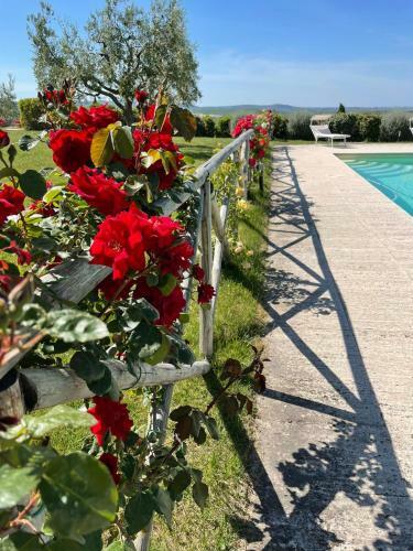 Apartamento Agriturismo La Paciarella