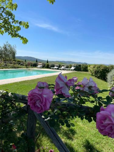 Apartamento Agriturismo La Paciarella