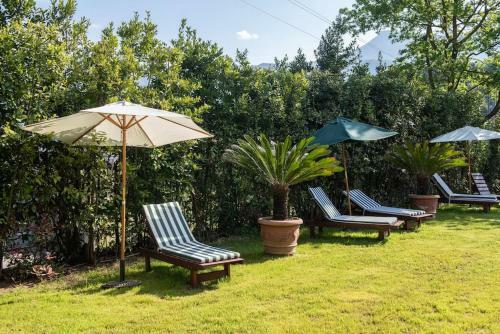 Villa Viloca In Camaiore, With Jacuzzi