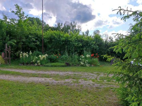 Brzozowy Chillout