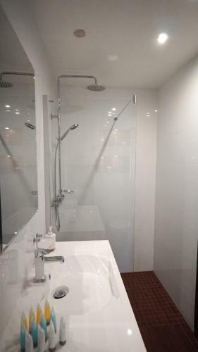 Apartamenty Ca?oroczne Le?ny Zak?tek