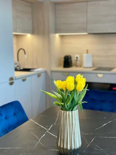 Apartament Morza Szum G?ski
