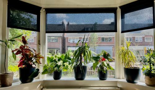 Stylish, Cozy Homestay