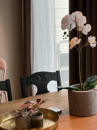 Apartamento Koselig Leilighet Midt I Mandal Sentrum Med Balkong!
