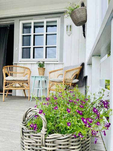 Reinehuset-amazing Place In Reine
