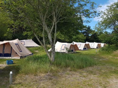Ameland Tentenverhuur