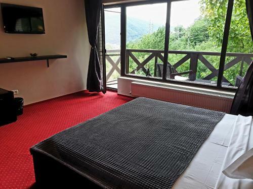 Bed & Breakfast Rex Infinity View 4* Cazanele Dunarii