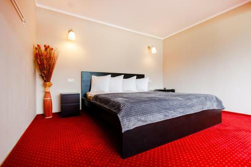 Bed & Breakfast Rex Infinity View 4* Cazanele Dunarii