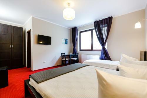 Bed & Breakfast Rex Infinity View 4* Cazanele Dunarii