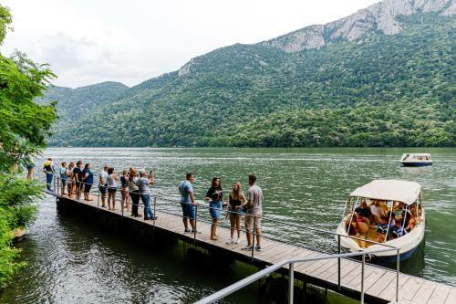 Bed & Breakfast Rex Infinity View 4* Cazanele Dunarii