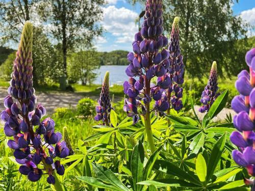 Holiday Home Kynesvacka