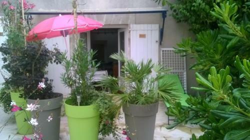 Apartamento R�sidence Les Platanes