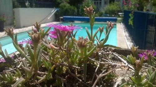 Apartamento R�sidence Les Platanes