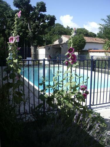 Apartamento R�sidence Les Platanes