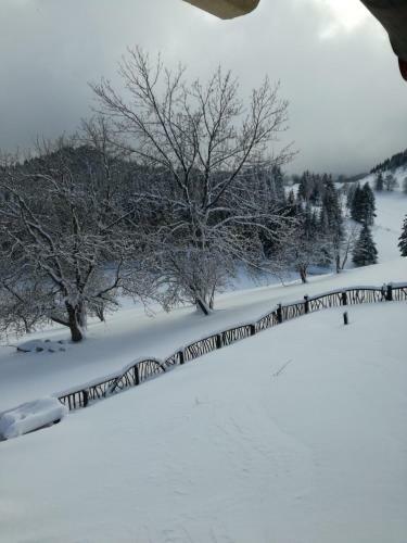 Hostal Plai Cu Dor Fundata