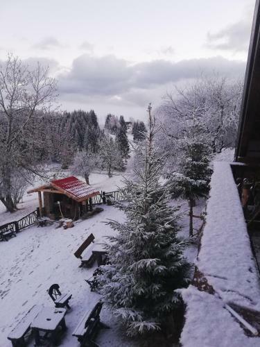 Hostal Plai Cu Dor Fundata