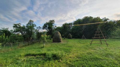 Agroturismo Cazare La Ferma Crinei