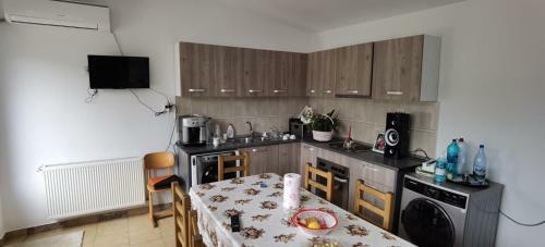 Hostal Pensiune Si Cazare La Mitza