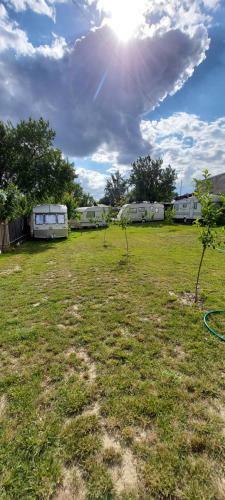 Lazy Camping