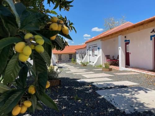 Hostal Casal De Santanna