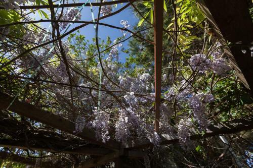Flh Ericeira Country House With Garden