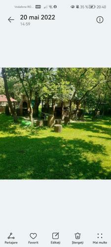 Lodge Cazare La Oana