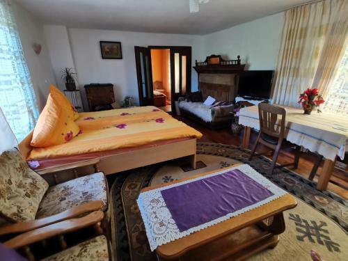 Casa Otilia