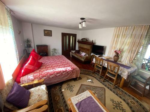 Casa Otilia