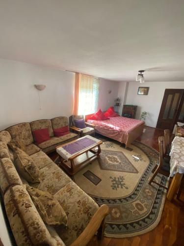 Casa Otilia